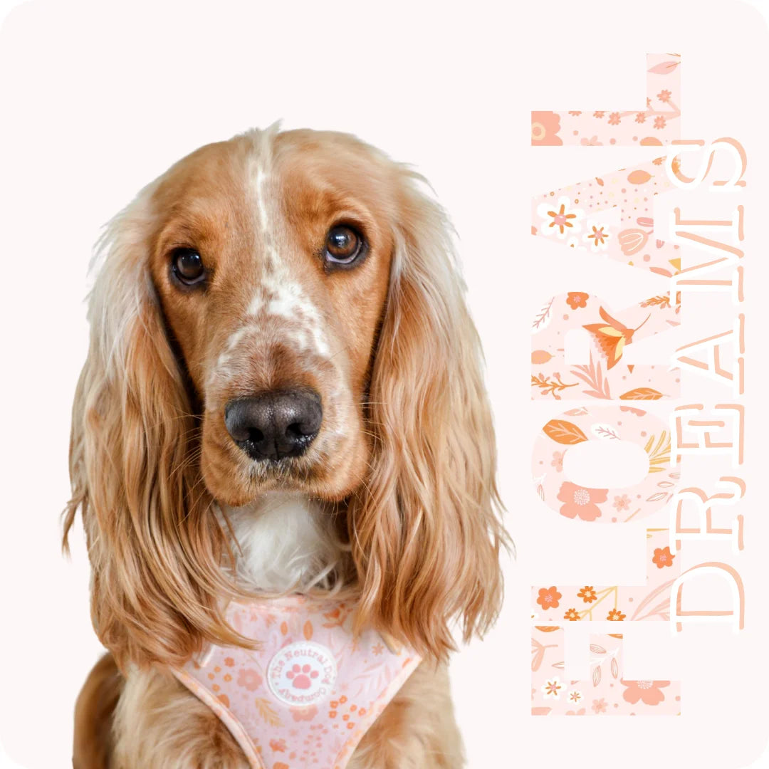 Floral Dreams