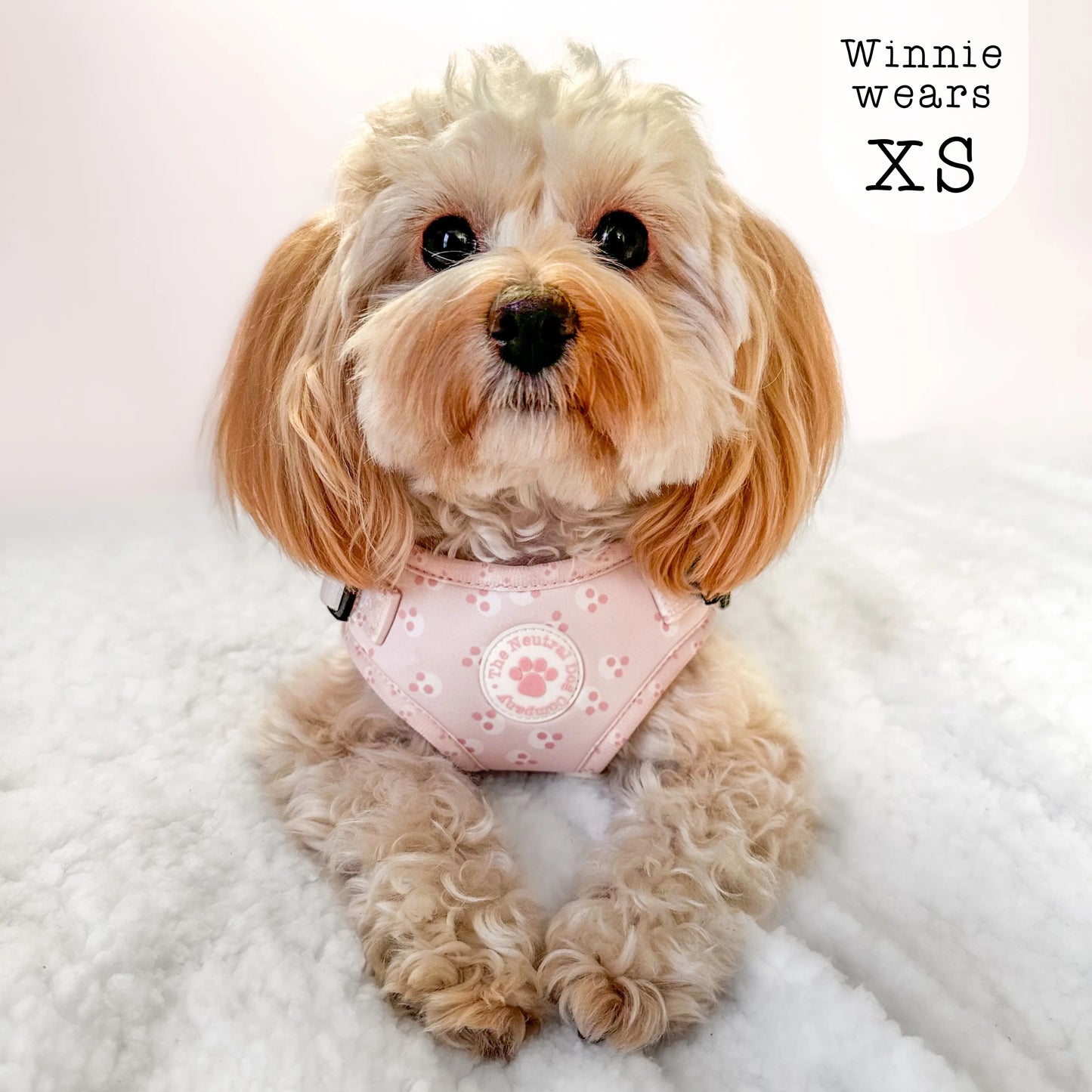 Adjustable Step-in Harness - Cotton Candy