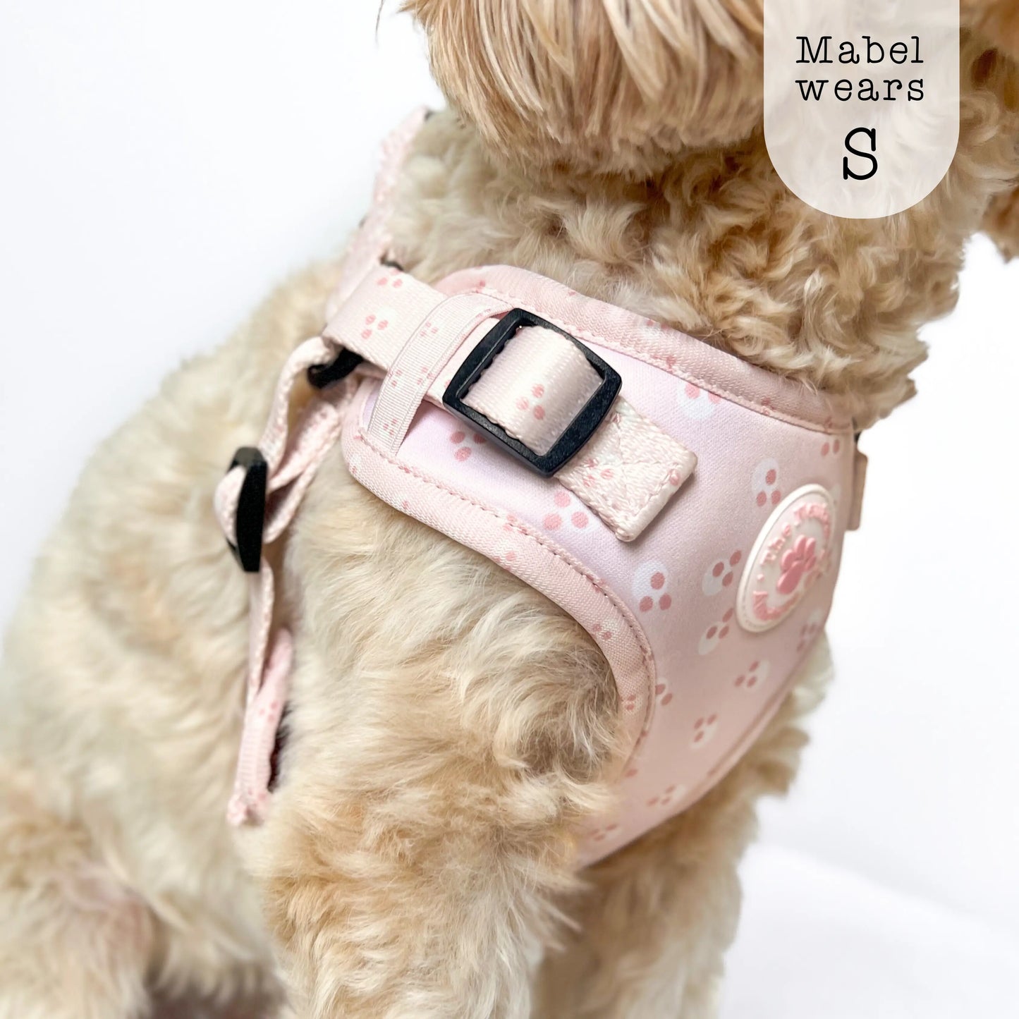 Adjustable Step-in Harness - Cotton Candy