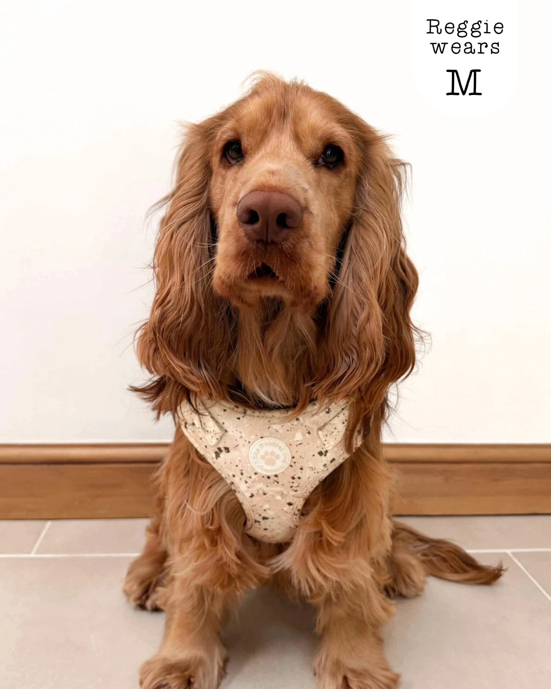 Adjustable Step-in Dog Harness - Desert Storm The Neutral Dog Company