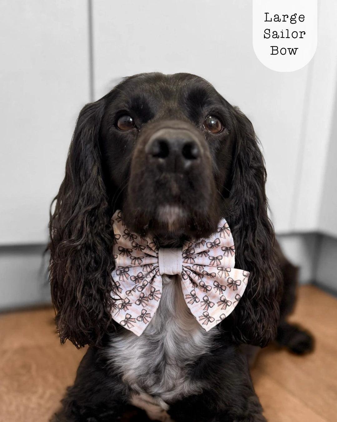 Sailor Bow - Biscotti Bows - The Neutral Dog Company