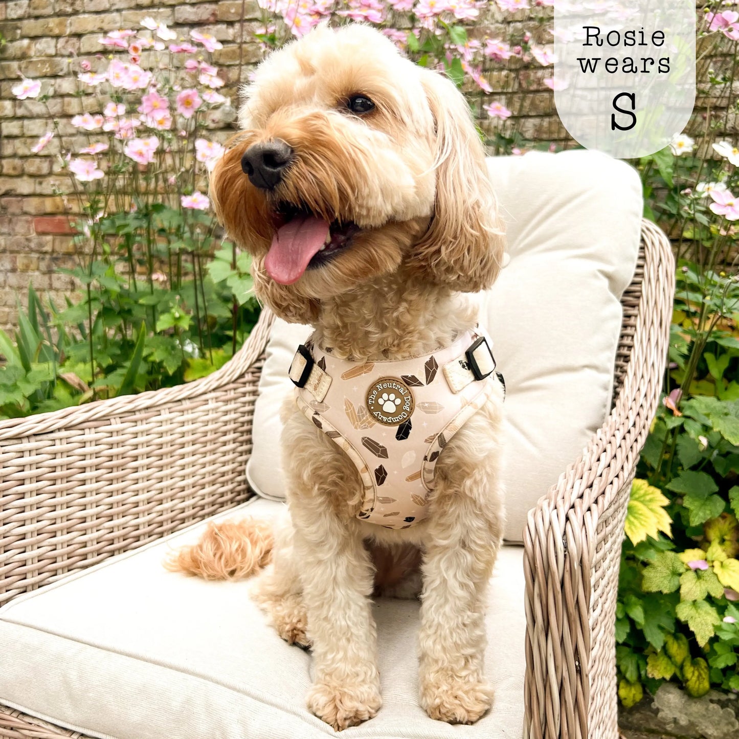 Adjustable Step-in Harness - Crystal Couture