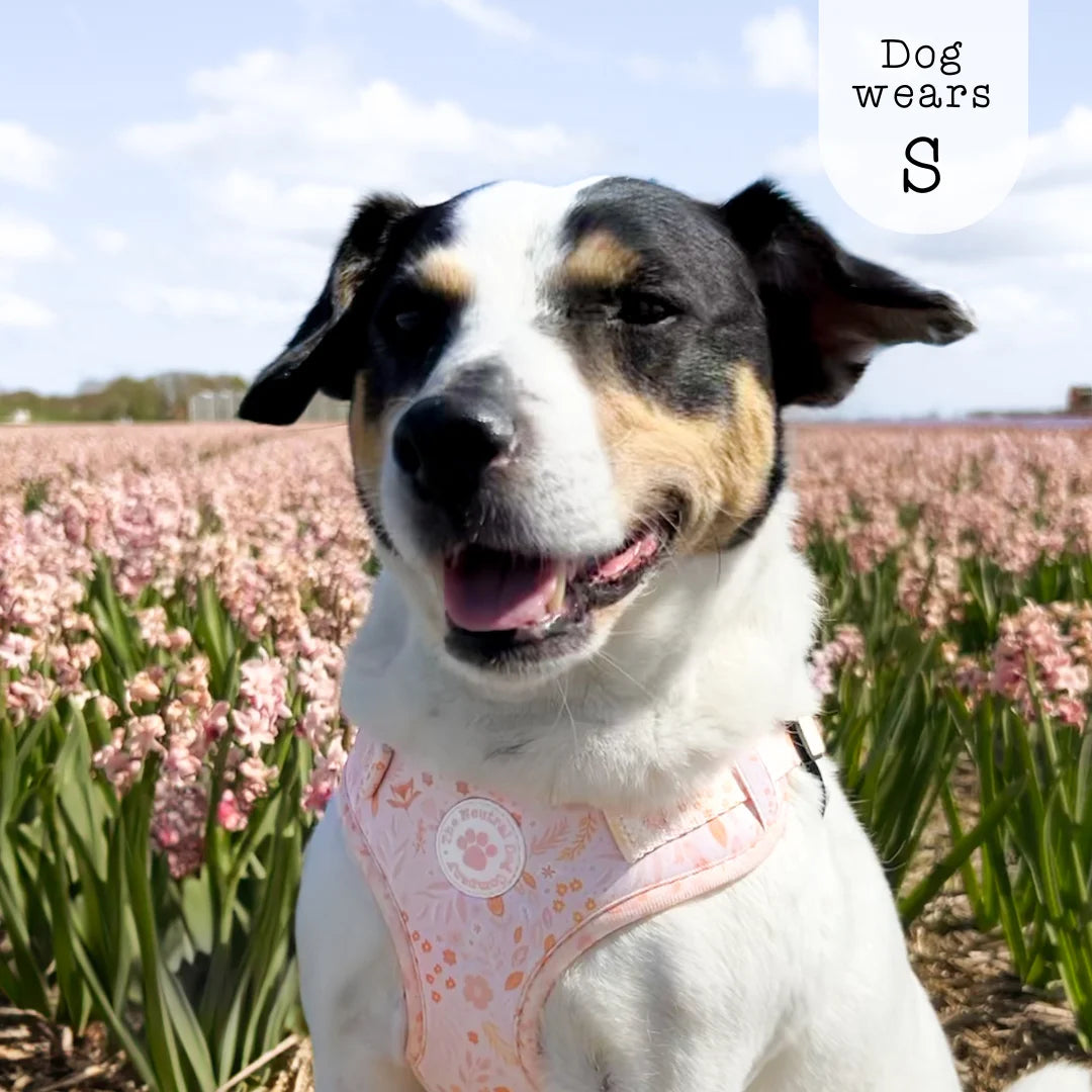 Adjustable Step-in Harness - Floral Dreams
