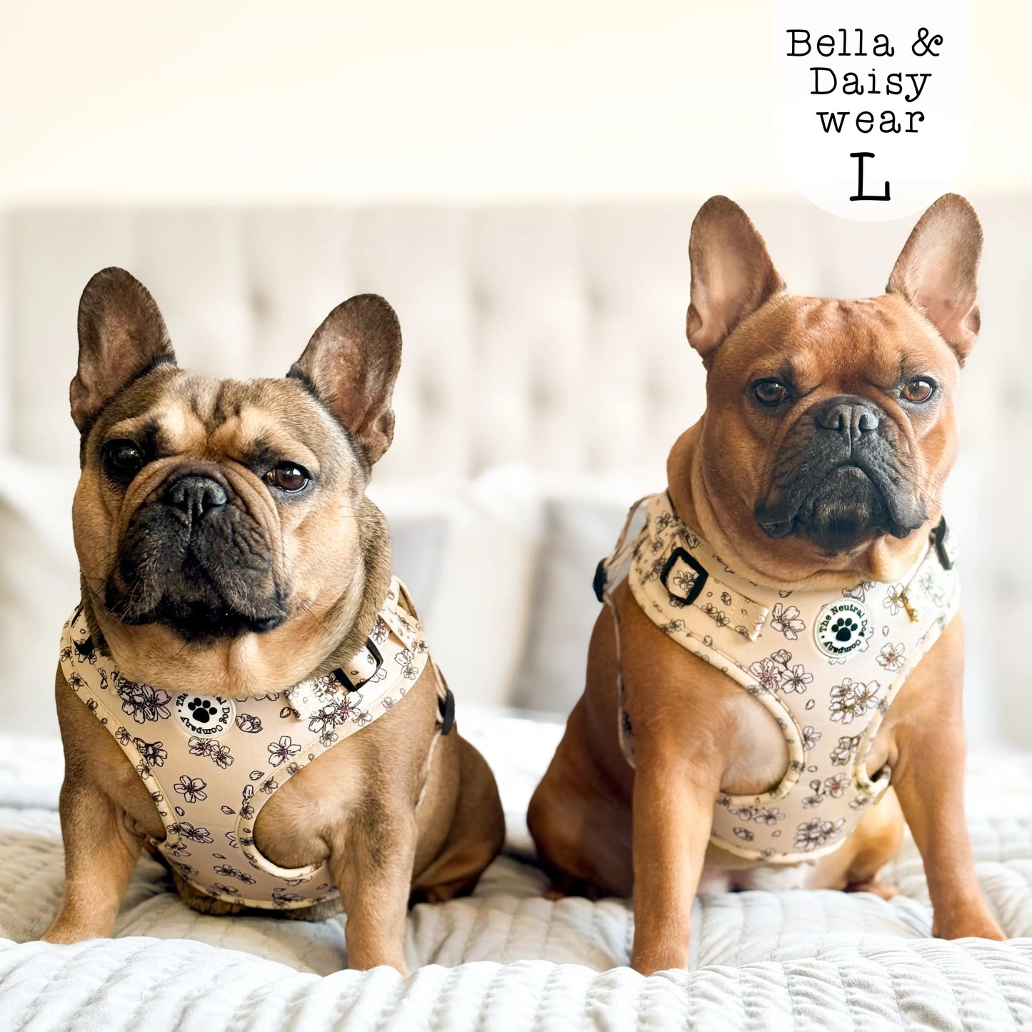 Adjustable Step-in Harness - Blooming Blossom