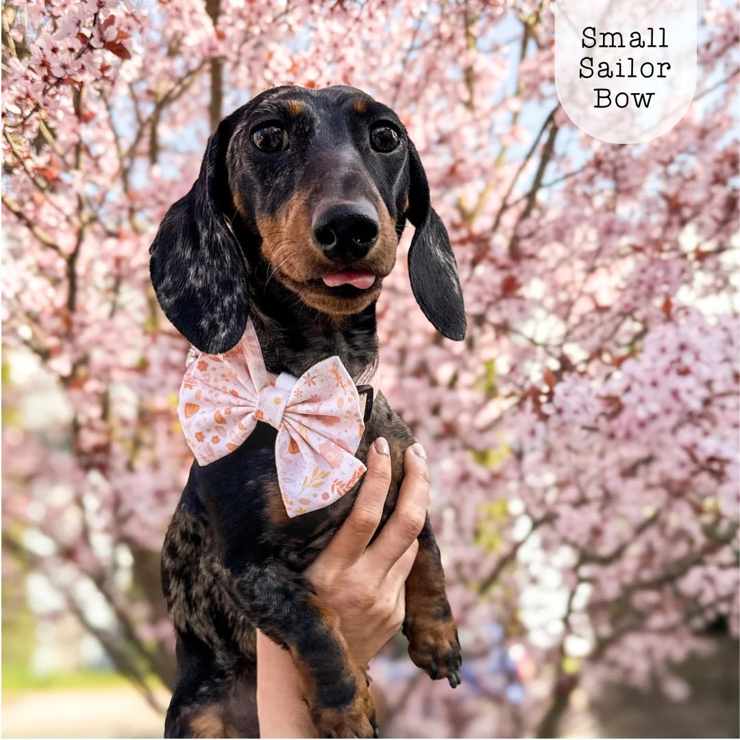 Sailor Bow - Floral Dreams - The Neutral Dog Company