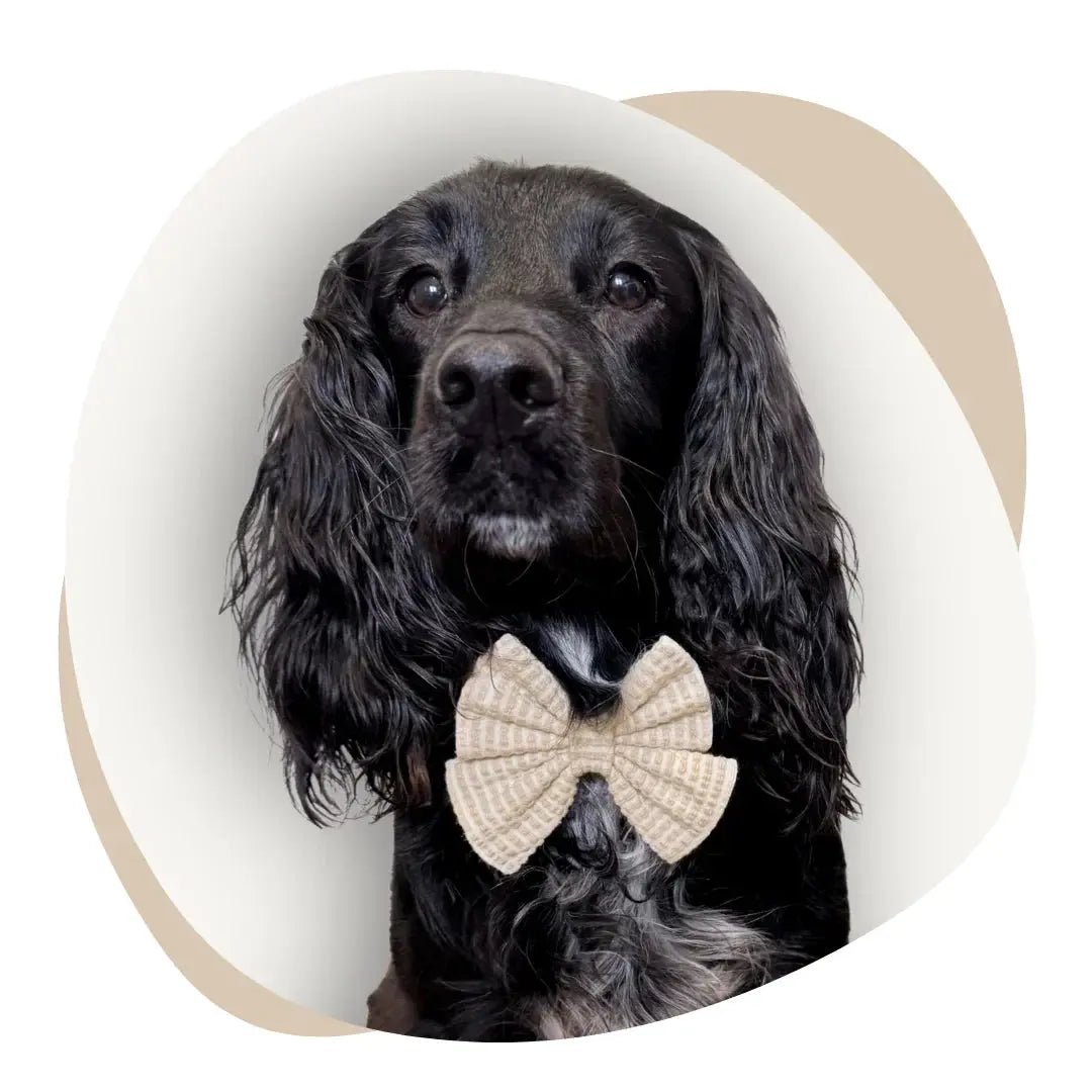 Sea Breeze - The Neutral Dog Company