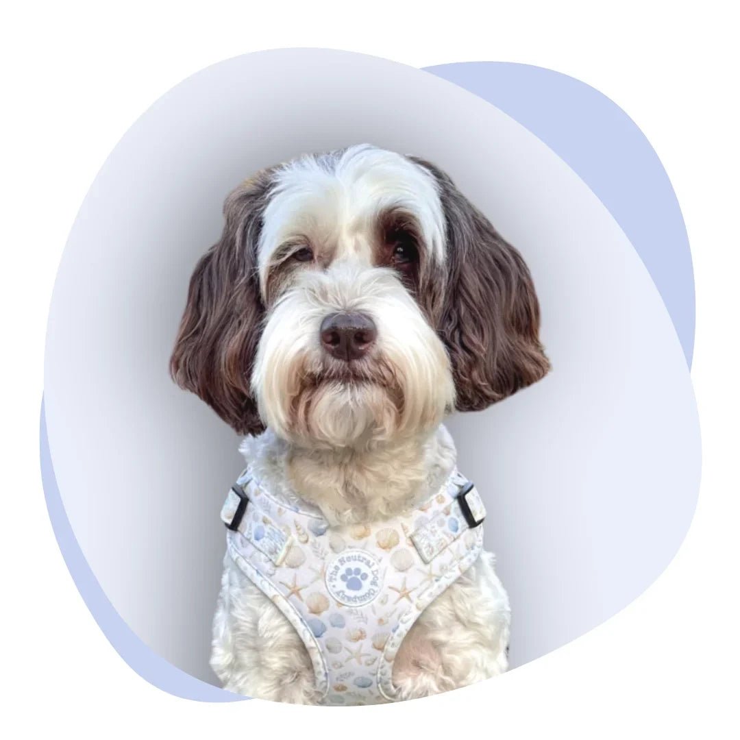 Seaside Serenity - The Neutral Dog Company