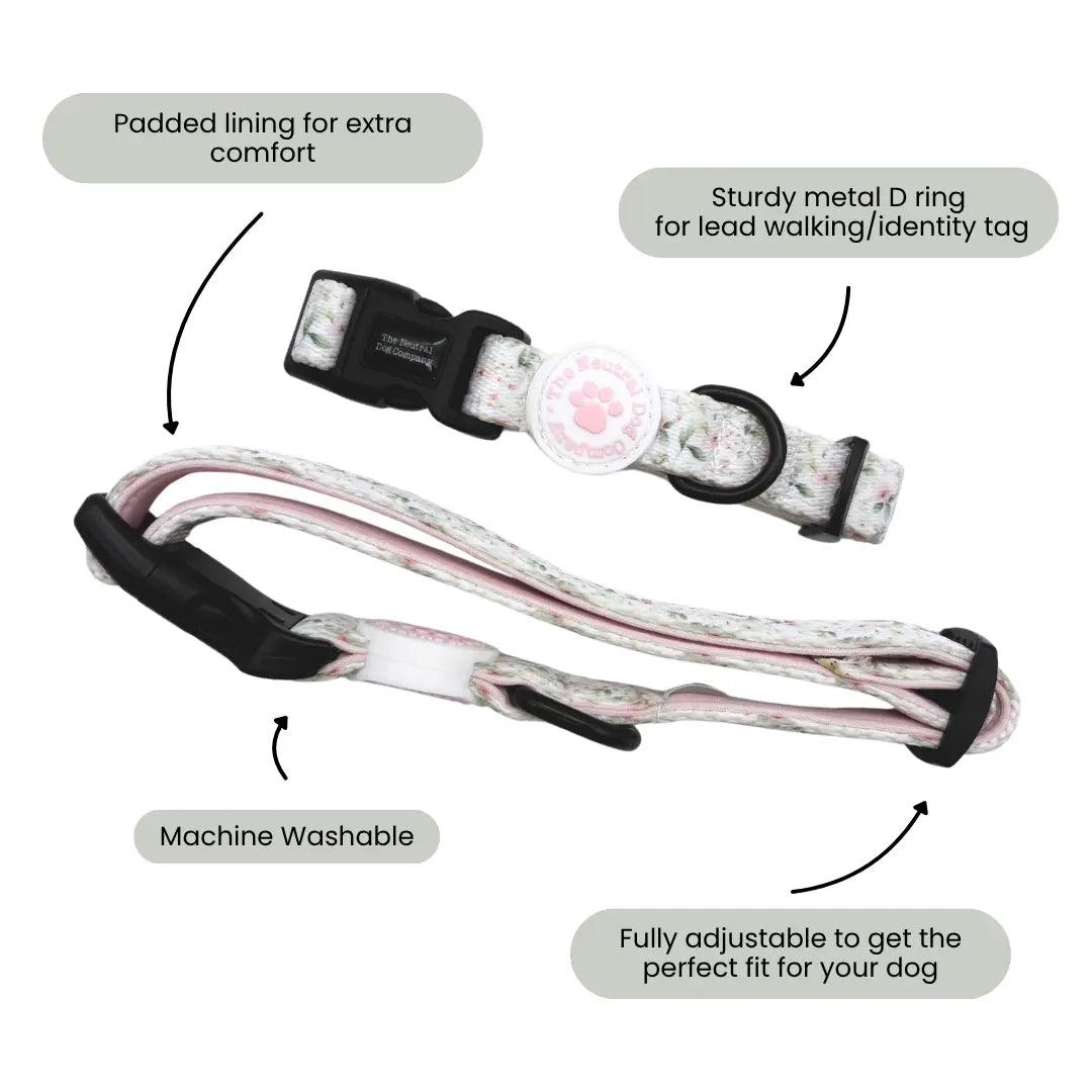 Ultimate Step-in Dog Harness Bundle - Wild Rose The Neutral Dog Company