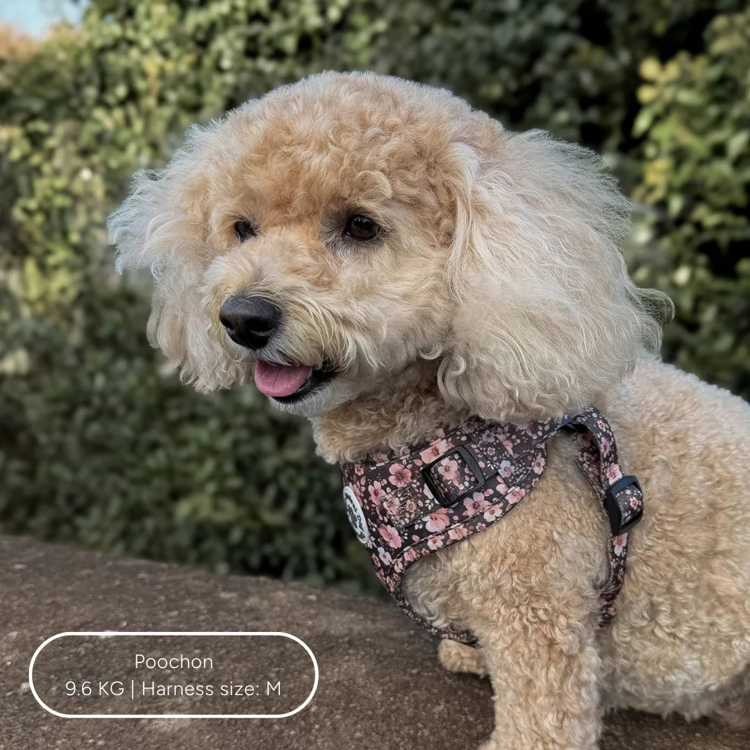 Ultimate Step-in Dog Harness Bundle - Dusky Rose The Neutral Dog Company