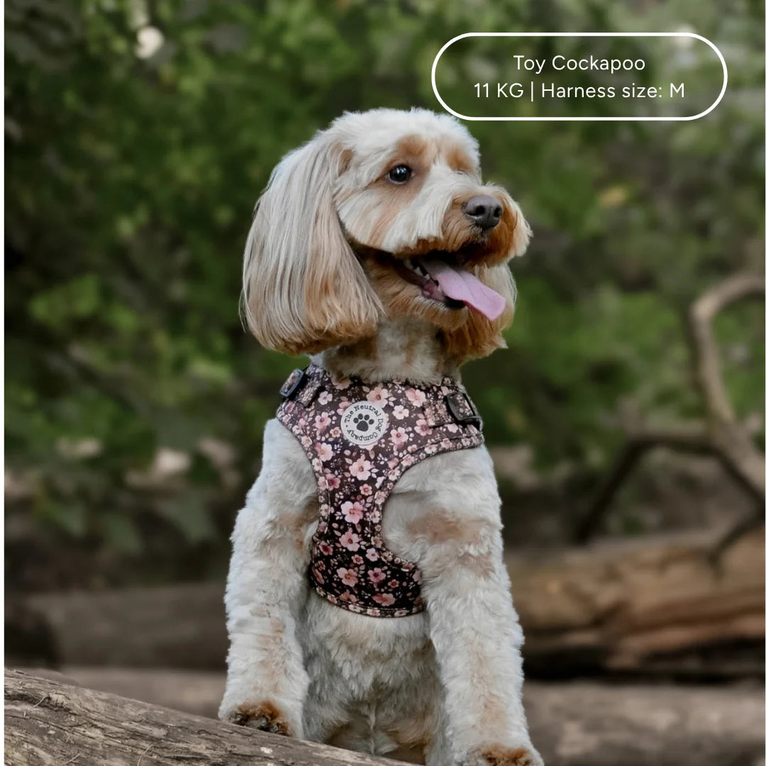 Ultimate Step-in Dog Harness Bundle - Dusky Rose The Neutral Dog Company