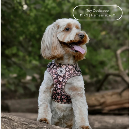 Ultimate Step-in Dog Harness Bundle - Dusky Rose The Neutral Dog Company