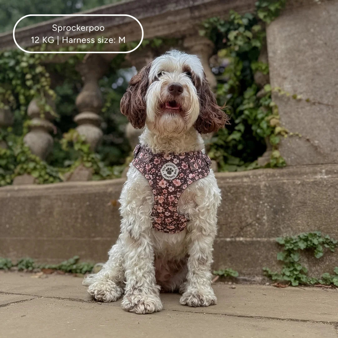 Ultimate Step-in Dog Harness Bundle - Dusky Rose The Neutral Dog Company