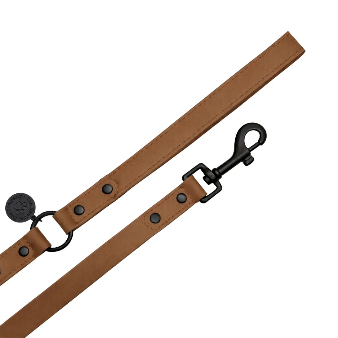 Waterproof Padded Handle Lead - Brown