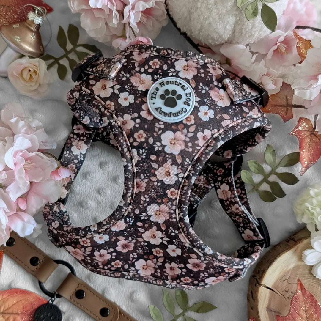 Adjustable Step-in Dog Harness - Dusky Rose The Neutral Dog Company