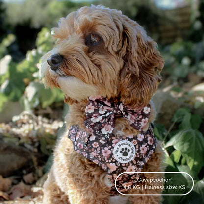 Ultimate Step-in Dog Harness Bundle - Dusky Rose The Neutral Dog Company