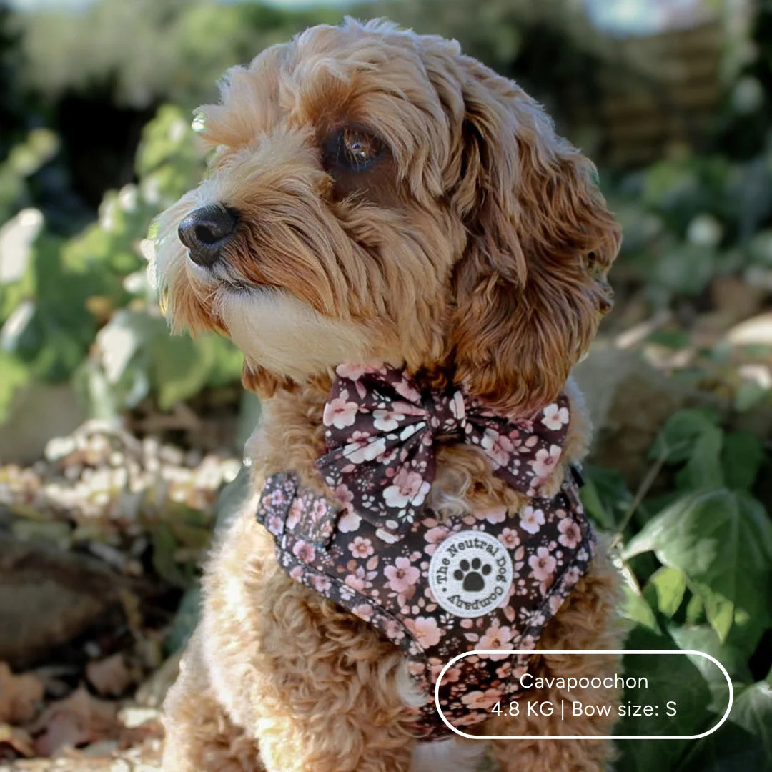 Ultimate Step-in Dog Harness Bundle - Dusky Rose The Neutral Dog Company