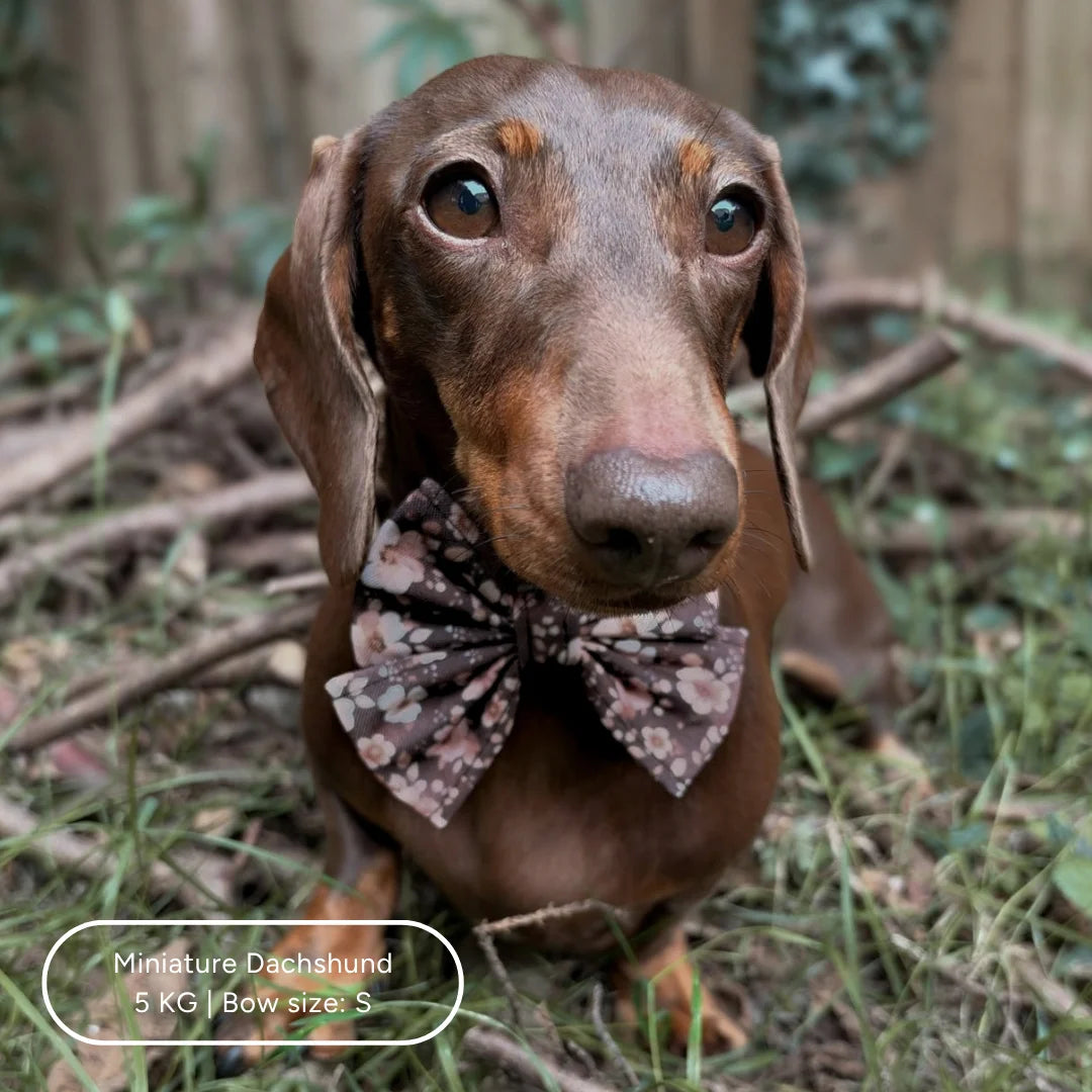Ultimate Step-in Dog Harness Bundle - Dusky Rose The Neutral Dog Company