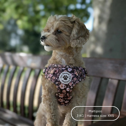 Ultimate Step-in Dog Harness Bundle - Dusky Rose The Neutral Dog Company