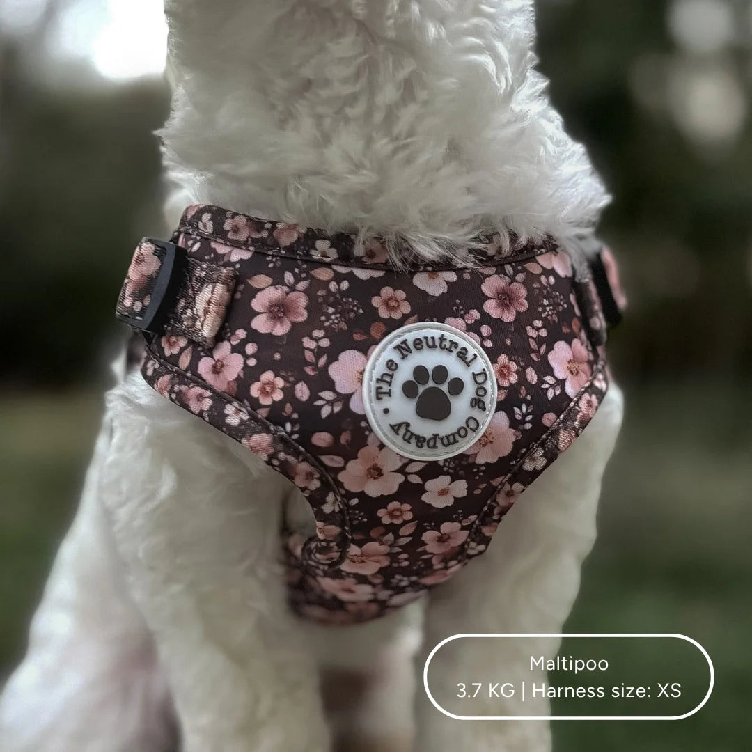 Ultimate Step-in Dog Harness Bundle - Dusky Rose The Neutral Dog Company