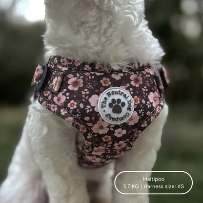 Ultimate Step-in Dog Harness Bundle - Dusky Rose The Neutral Dog Company