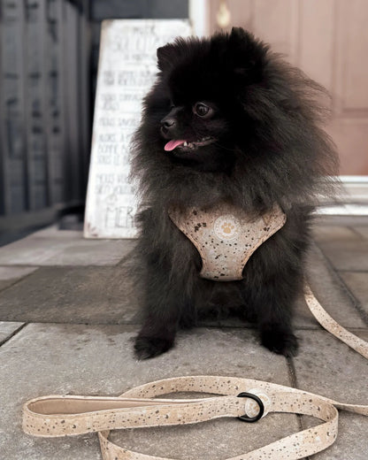 Dog Lead - Desert Storm The Neutral Dog Company