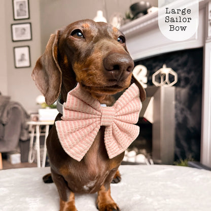 Sailor Bow - Sea Breeze - Coral