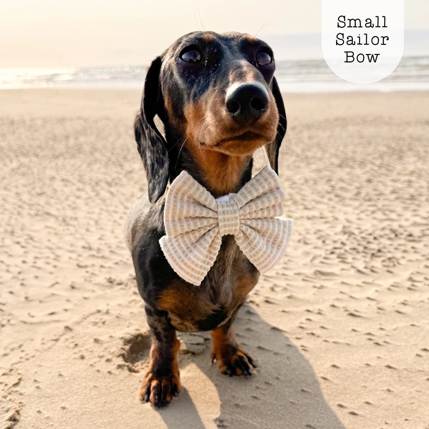 Sailor Bow - Sea Breeze - Sand