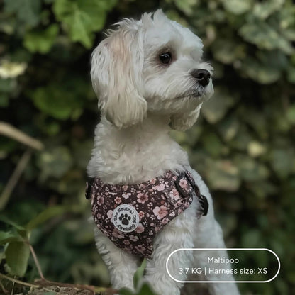 Ultimate Step-in Dog Harness Bundle - Dusky Rose The Neutral Dog Company