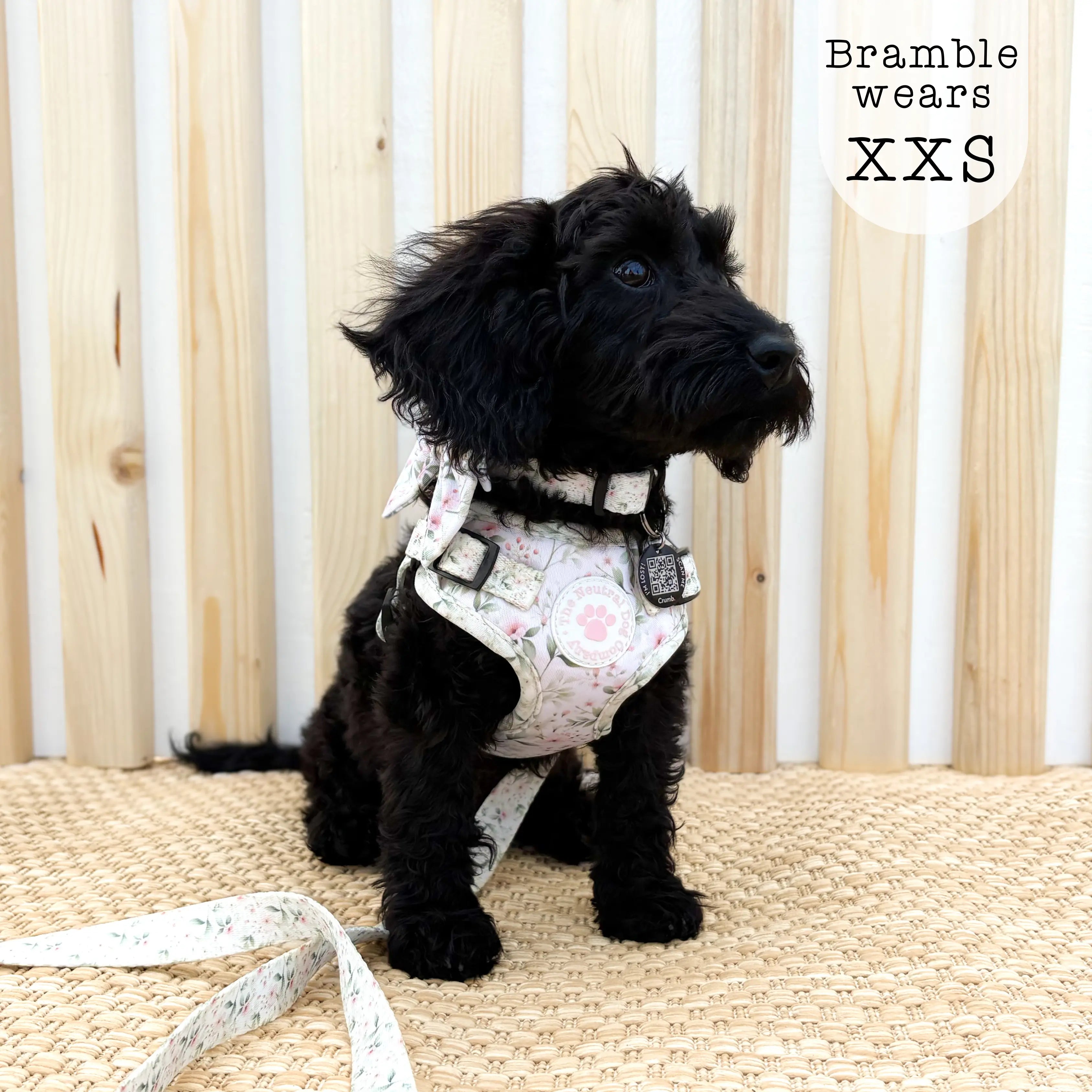 Adjustable Step-in Harness - Wild Rose