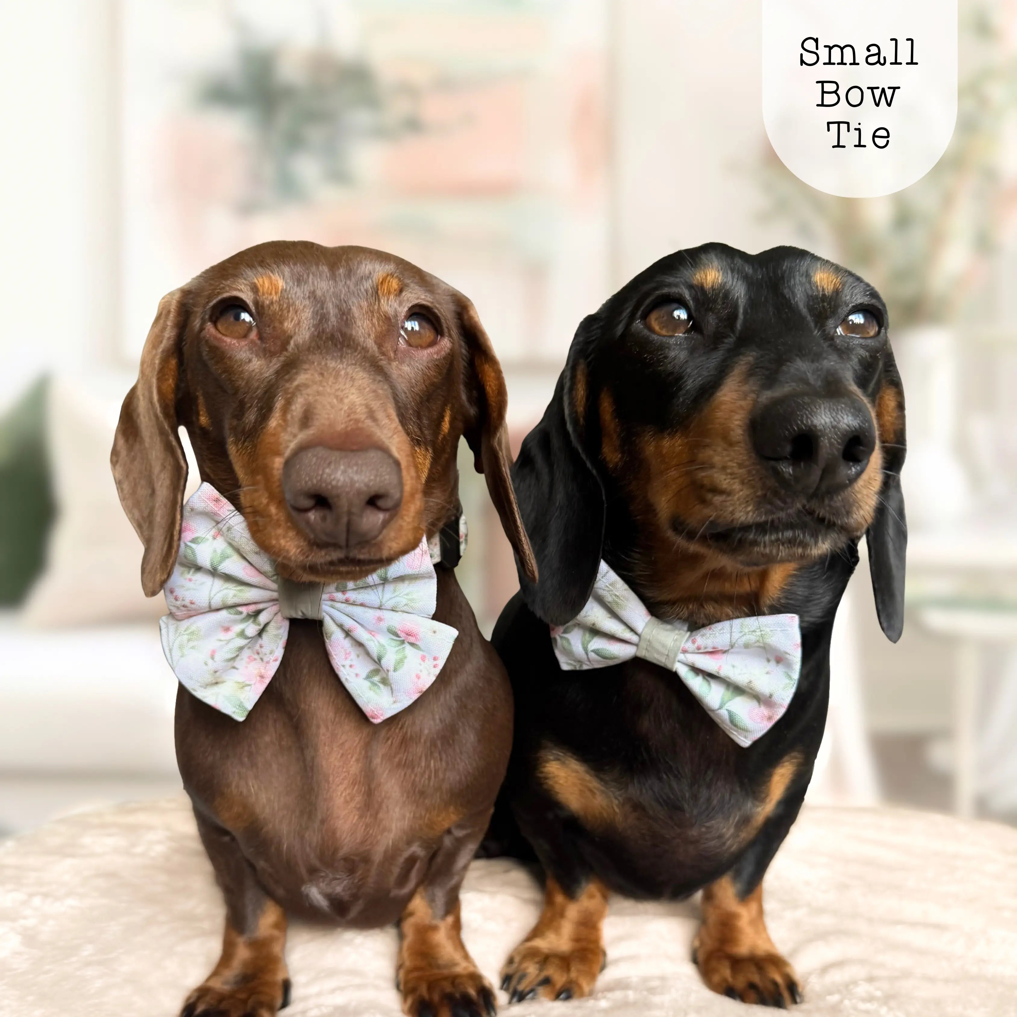Bow Tie - Wild Rose