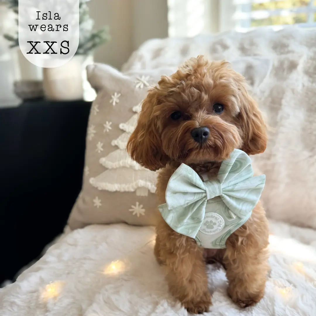 Adjustable Step-in Harness - Pistachio Swirl