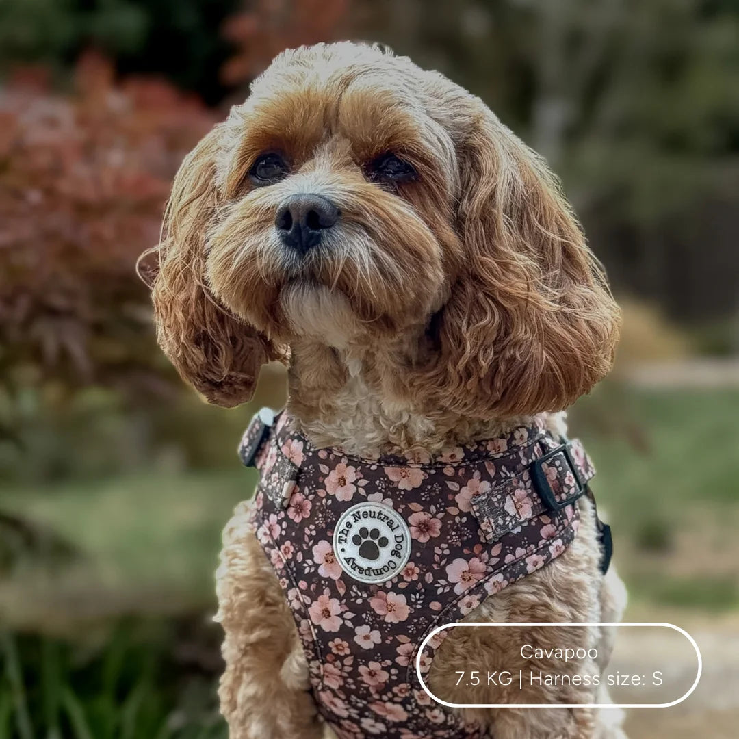 Ultimate Step-in Dog Harness Bundle - Dusky Rose The Neutral Dog Company
