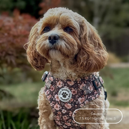 Ultimate Step-in Dog Harness Bundle - Dusky Rose The Neutral Dog Company