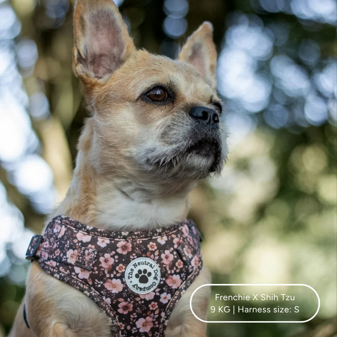 Ultimate Step-in Dog Harness Bundle - Dusky Rose The Neutral Dog Company