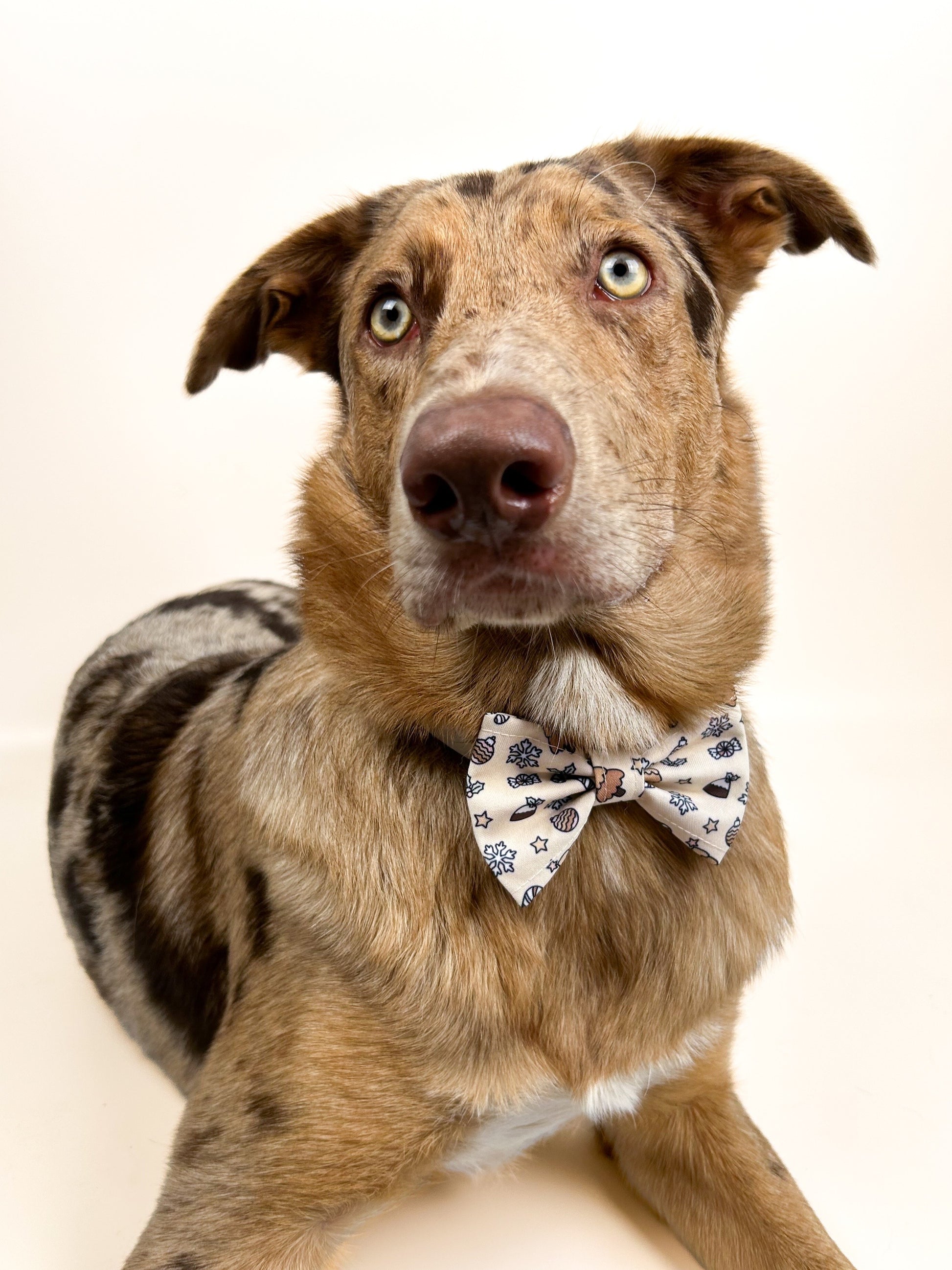 Bow Tie - Neutral Noel - The Neutral Dog Company