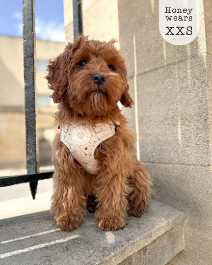 Adjustable Step-in Dog Harness - Desert Storm The Neutral Dog Company