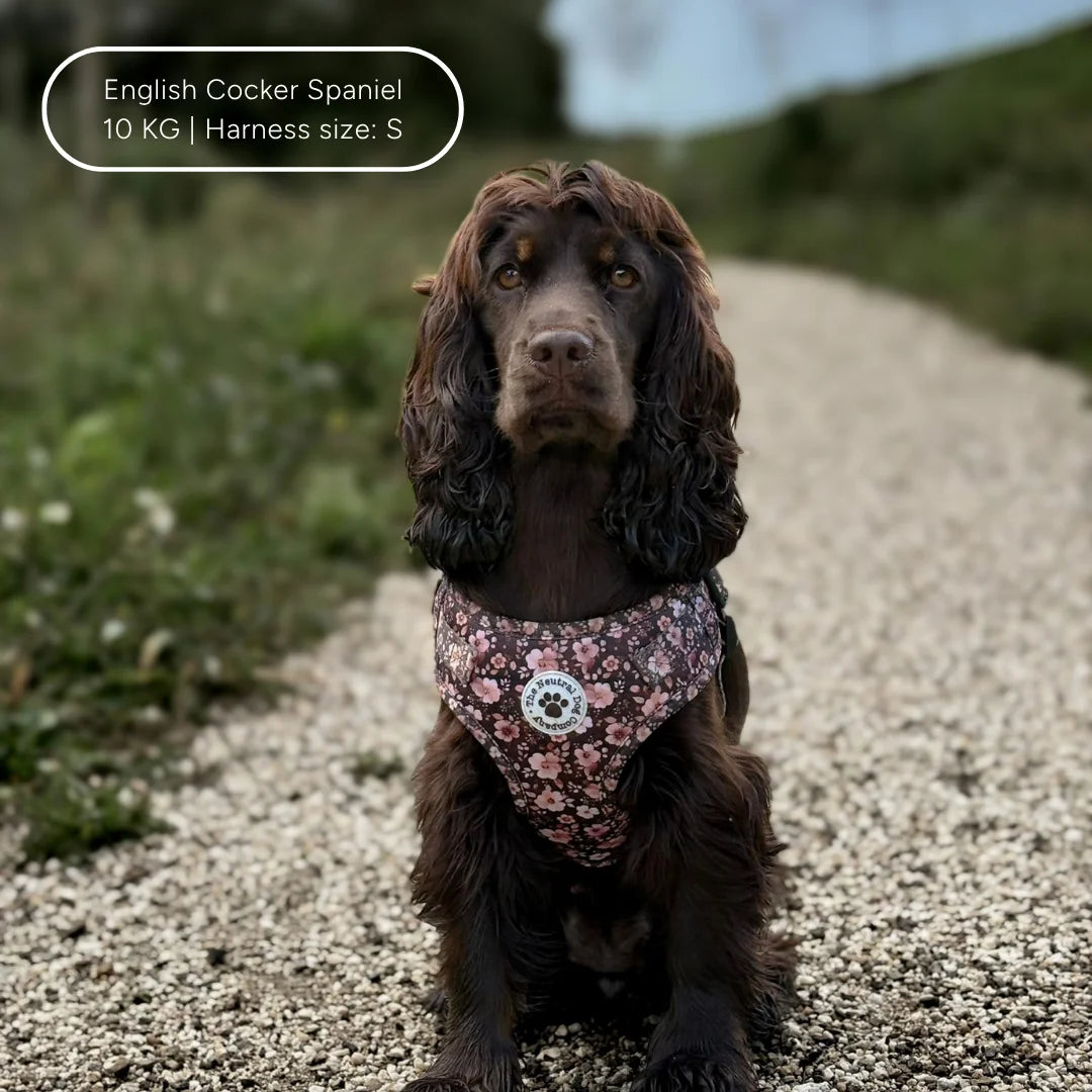 Ultimate Step-in Dog Harness Bundle - Dusky Rose The Neutral Dog Company