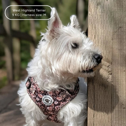 Ultimate Step-in Dog Harness Bundle - Dusky Rose The Neutral Dog Company