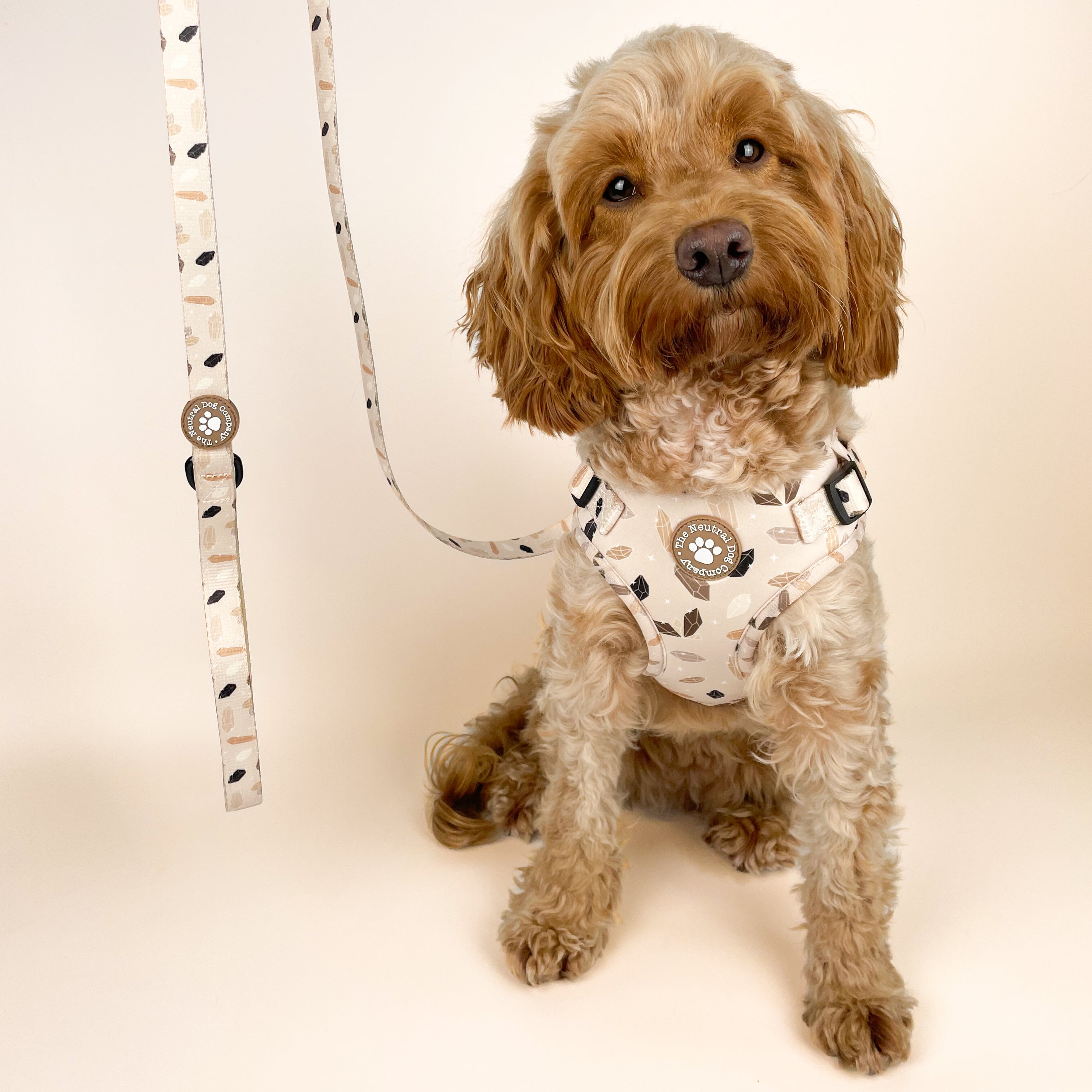 Lead - Crystal Couture - The Neutral Dog Company