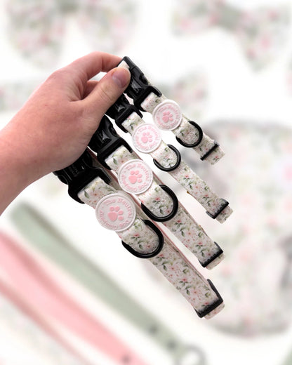 Essential Step-in Dog Harness Bundle - Wild Rose