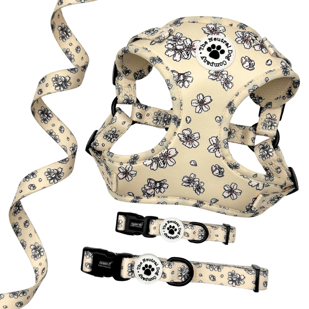 Adjustable Collar - Blooming Blossom - The Neutral Dog Company