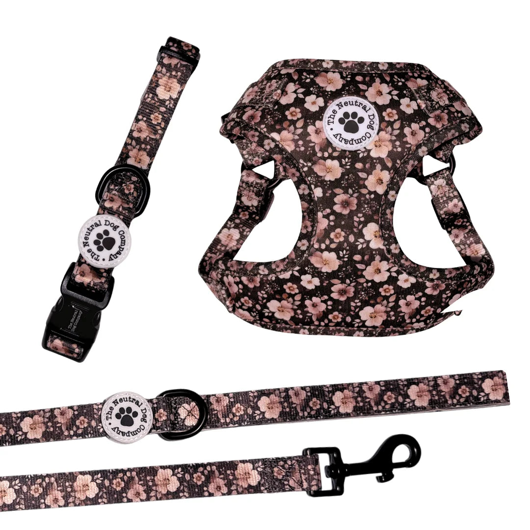 Starter Step-in Dog Harness Bundle - Dusky Rose