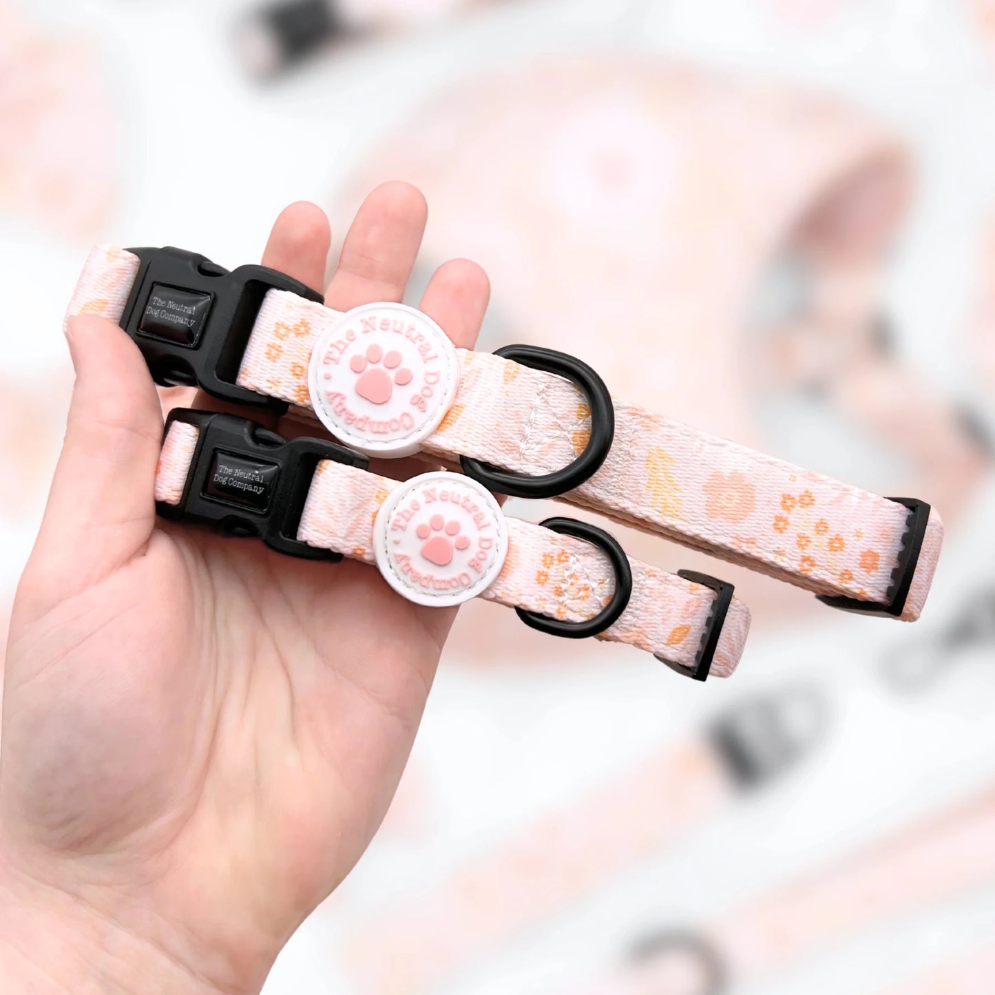 Adjustable Collar - Floral Dreams - The Neutral Dog Company