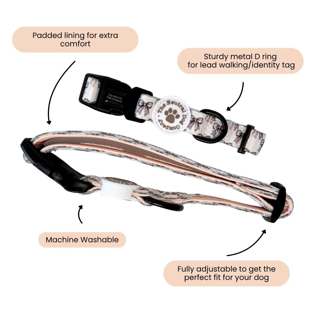 Adjustable Dog Collar - Biscotti Bows - The Neutral Dog Company