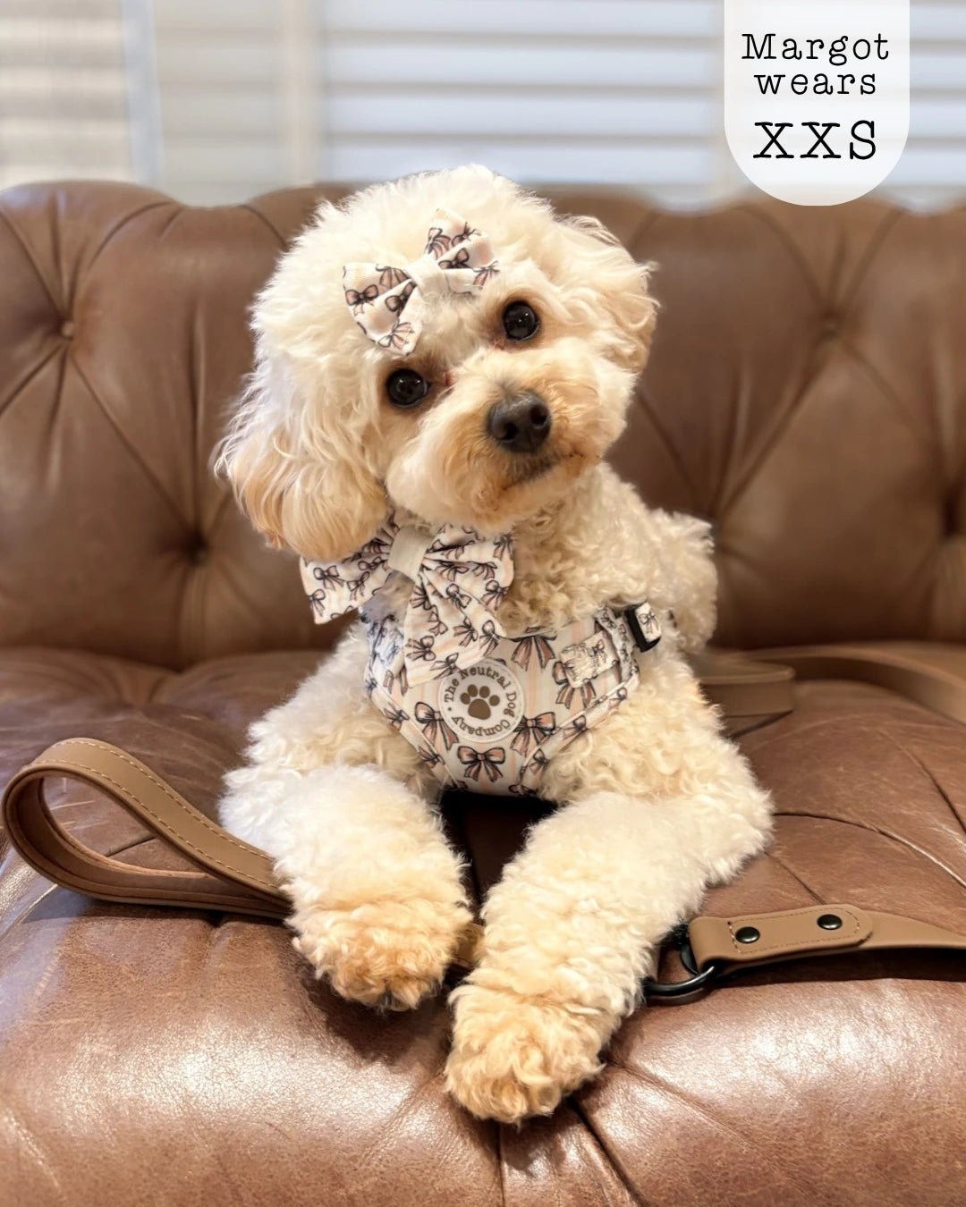Adjustable Step-in Dog Harness - Biscotti Bows - The Neutral Dog Company