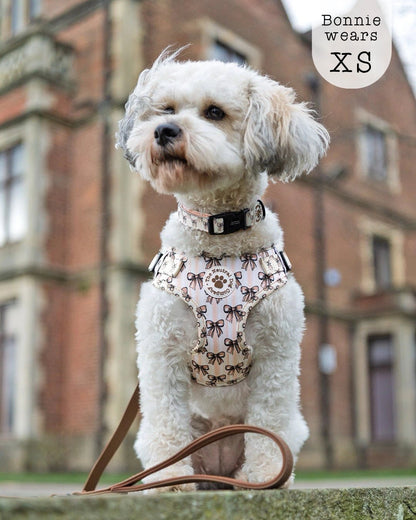 Adjustable Step-in Dog Harness - Biscotti Bows - The Neutral Dog Company