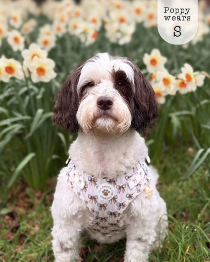 Adjustable Step-in Dog Harness - Biscotti Bows - The Neutral Dog Company