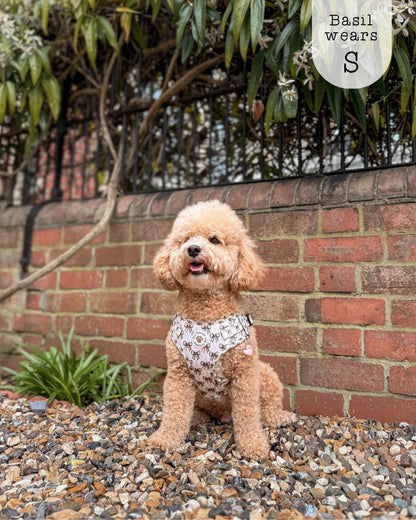 Adjustable Step-in Dog Harness - Biscotti Bows - The Neutral Dog Company
