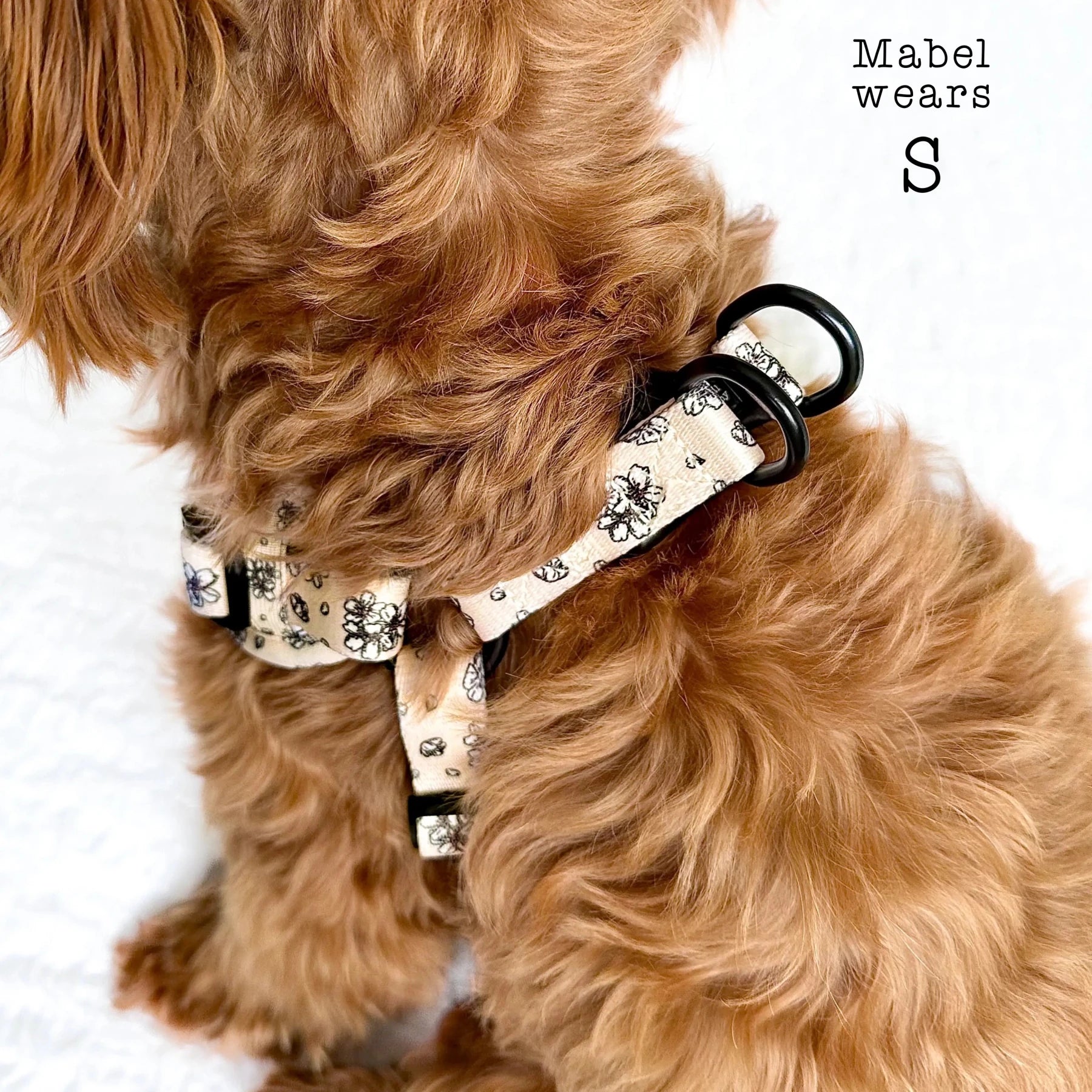 Adjustable Step-in Dog Harness - Blooming Blossom - The Neutral Dog Company
