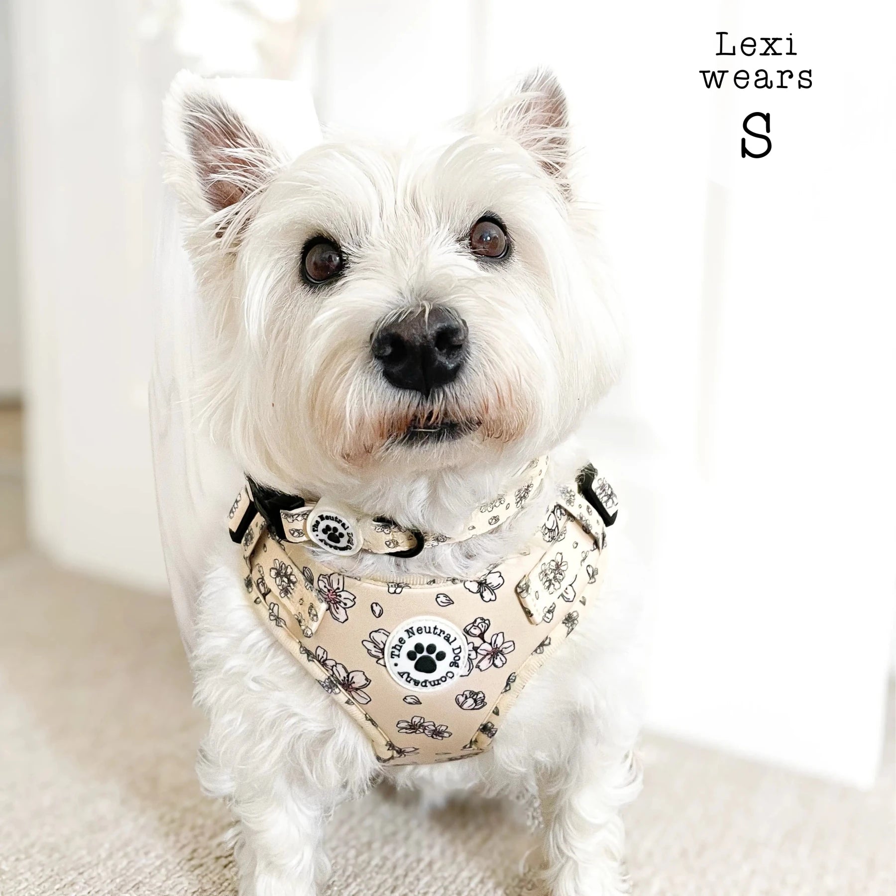 Adjustable Step-in Dog Harness - Blooming Blossom - The Neutral Dog Company